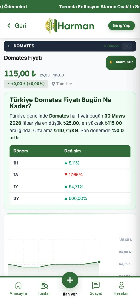 Hal fiyatları
