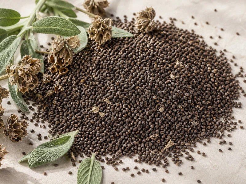Adaçayı Tohumu fiyatları