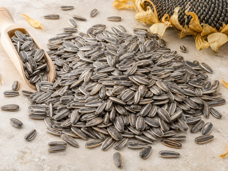 Ayçiçeği Tohumu (Süs) fiyatları