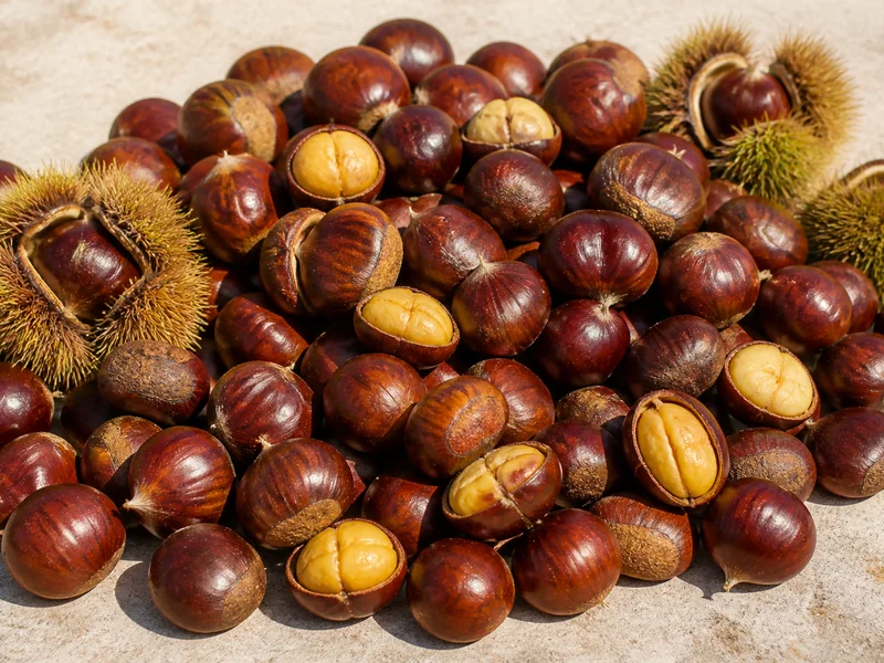 Kestane fiyatları