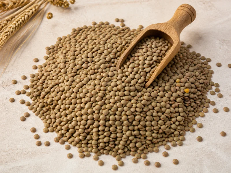 Mercimek fiyatları