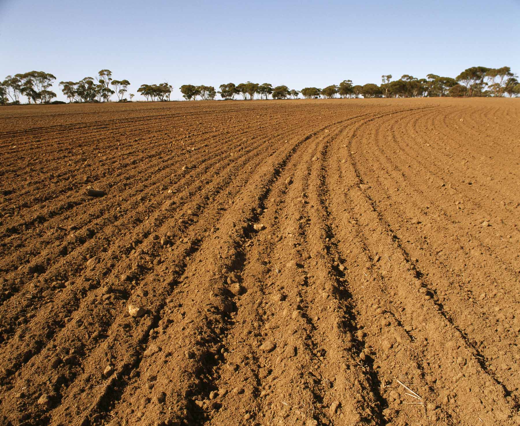 Nadasa Bırakılan Arazilere %75 Hibe Desteği!