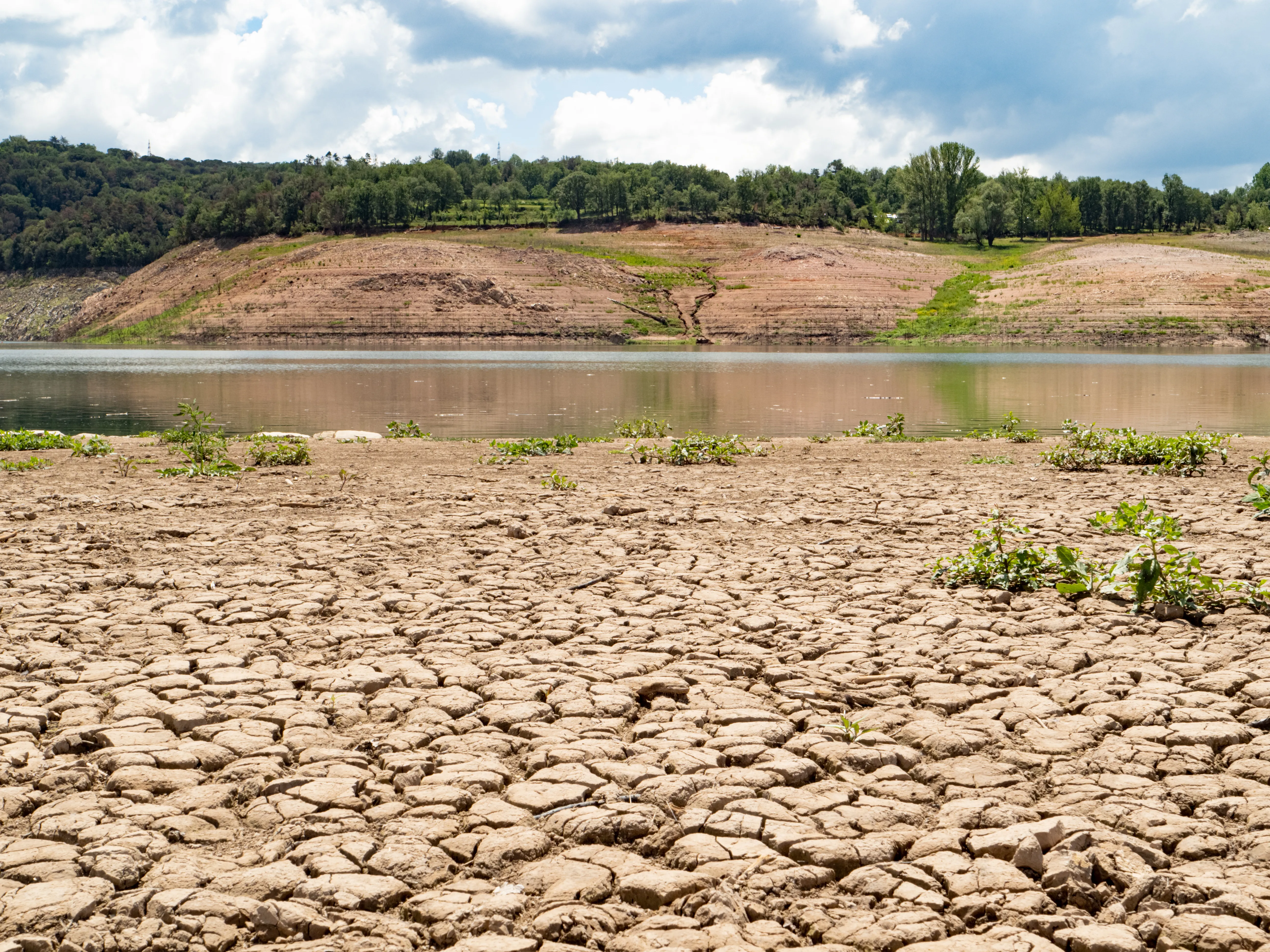 Tarım Üretimi ve Su Kaynaklarında Kuraklık Alarmı