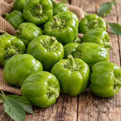 Dolmalık Biber hasadı