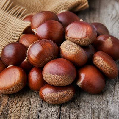Kestane hasadı