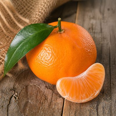 Satsuma hasadı