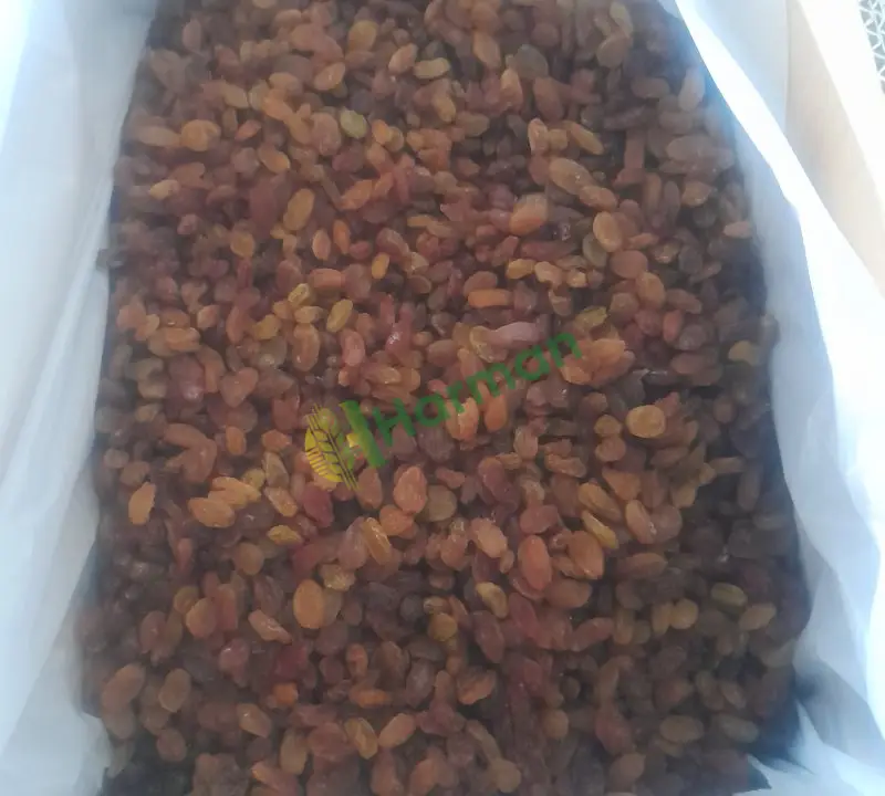 1 inci kalite kuru üzümlerimizi 5,10,20 kg paketler halinde satışa sunuyoruz.