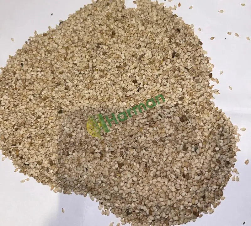 100 ton sudan susamı elimde mevcut