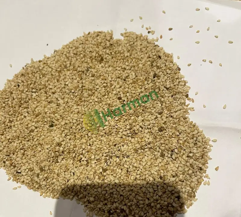 100 ton sudan susamı elimde mevcut