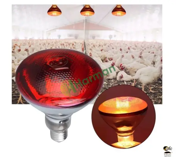 100 Watt İnfrared Isıtıcı