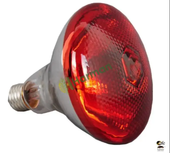 175 Watt İnfrared Isıtıcı Lamba