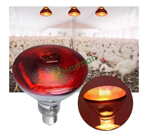 175 Watt İnfrared Isıtıcı Lamba