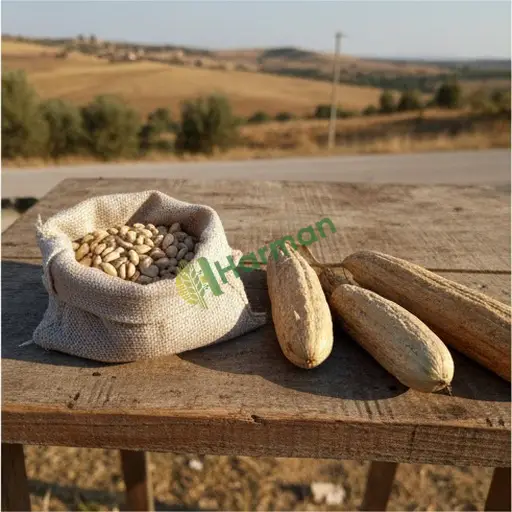 Yenipazar'da Acur Tohumu Satış