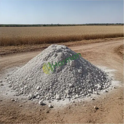 Kırşehir Merkez'de 8 ton jips alınacak