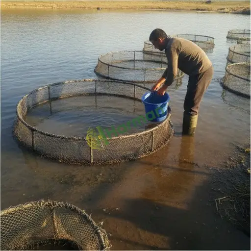 Balık Çiftliği Elemanı Aranan / Erzurum Pasinler