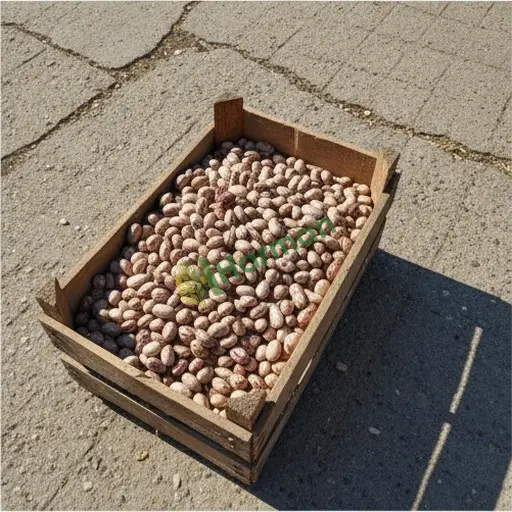 Aksaray Sultanhanı barbunya satılır