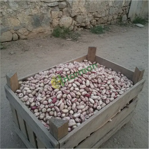 Siirt Pervari'de barbunya satıyorum