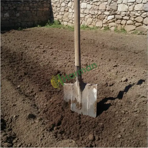 Kilis Polateli'de satılık bel
