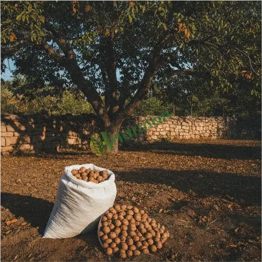 Iğdır Merkez'de ceviz satılır