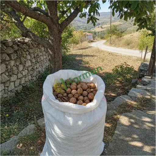 Burdur'da yöresel ceviz satılık
