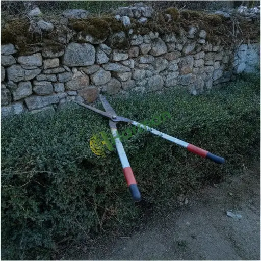 Rize Çamlıhemşin'den satılık çit budama makası