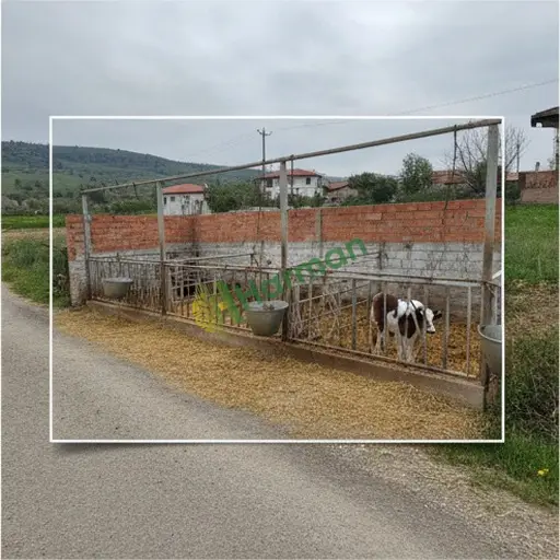 Elazığ Sivrice'de doğum boksları satıyorum