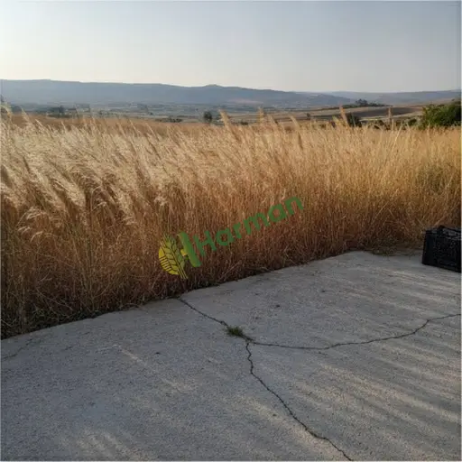 Muğla Ortaca enerji ayrığı satılık