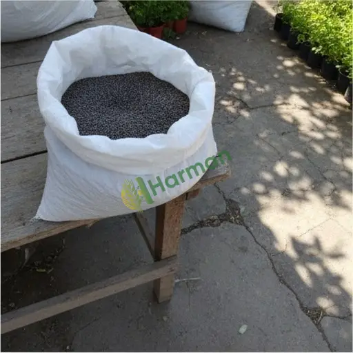 Bartın Merkez'den fesleğen tohumu satılık