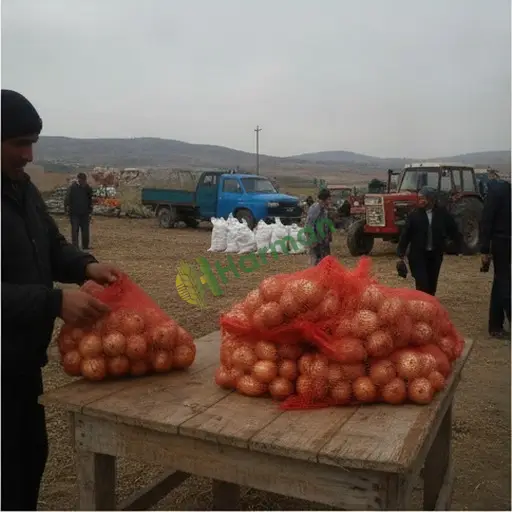 Bartın Ulus file paketleme satılık