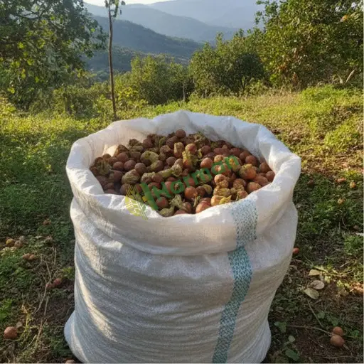 Van Muradiye'de fındık satarım