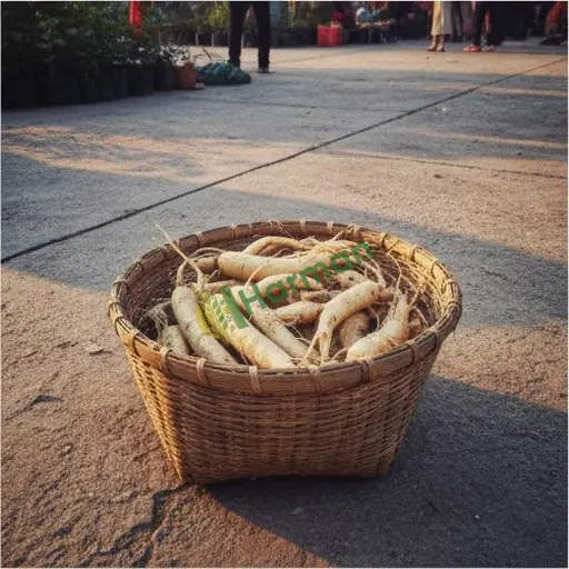 Niğde'de ginseng satarım