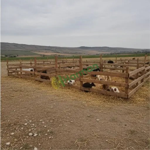 Kars Susuz'da hayvan pansiyonu satılık