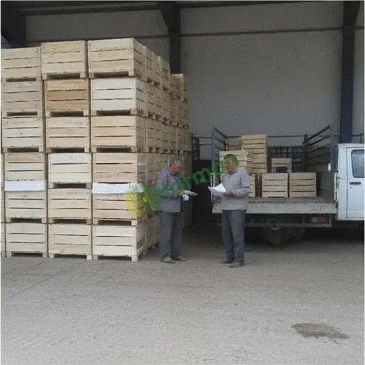 Ordu Aybastı'da ihracat danışmanlığı satılık