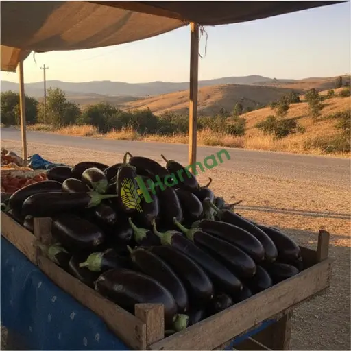 Mardin Midyat'ta patlıcan satarım