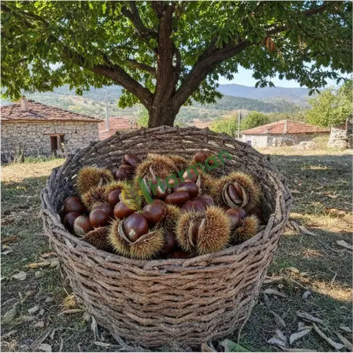 Mardin Kızıltepe'den satılık kestane