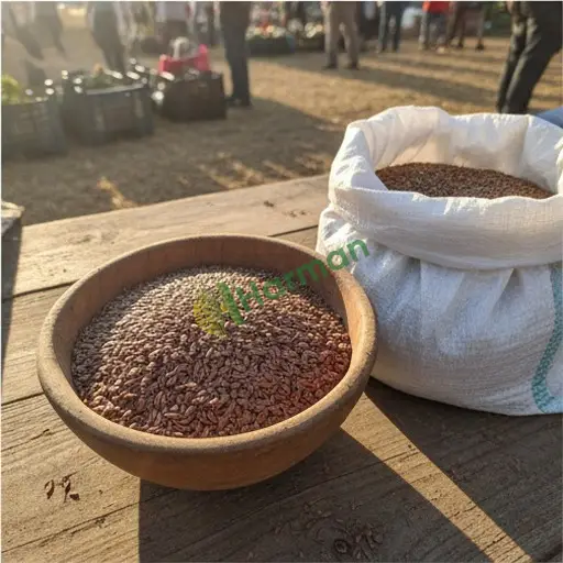 Bartın Ulus'ta keten tohumu satılık
