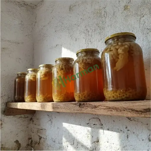 Erzincan Kemah'ta kombucha satılık