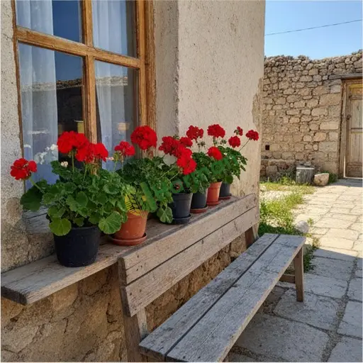 Erzurum Pazaryolu'nda kraliçe çiçeği satılır