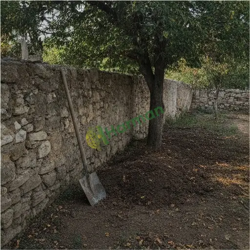 Ağrı Merkez'de kürek satılık