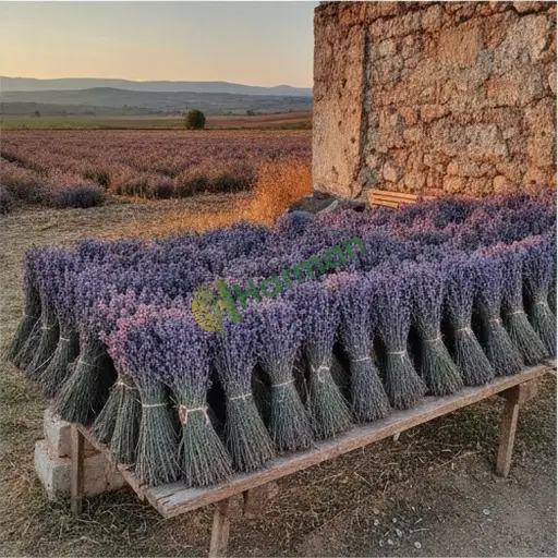 Kars Digor'da lavanta satılık