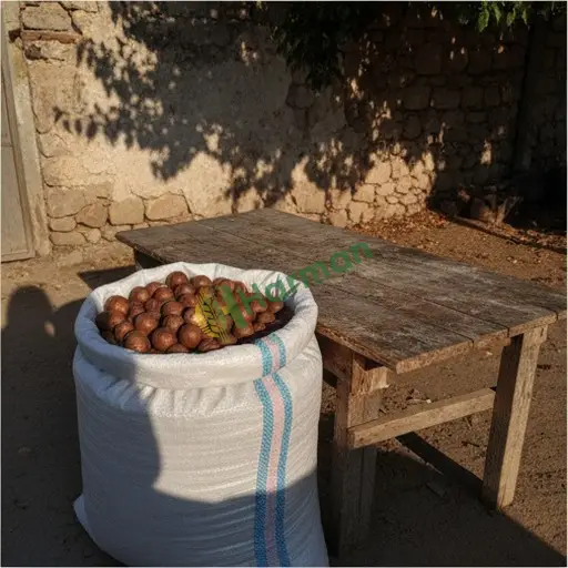 Adana Yüreğir'de macadamia satılık