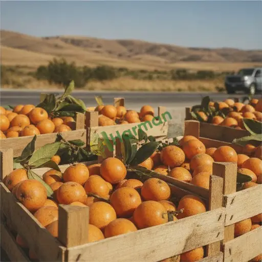 Kars Merkez'de Malta eriği satılık