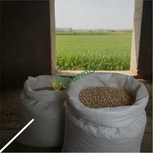 Kocaeli Derince'de maralfalfa tohumu satıyorum