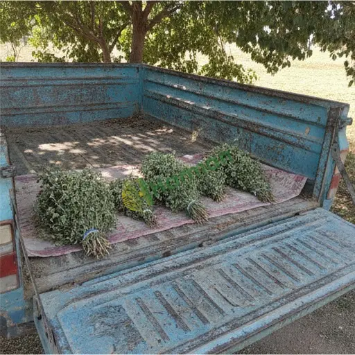 Siirt Eruh'ta mercanköşk satılık