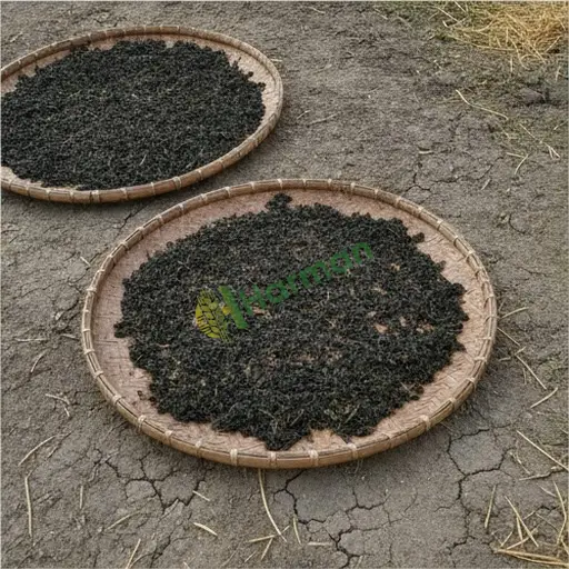 Kahramanmaraş Pazarcık'ta Oolong çay satılır