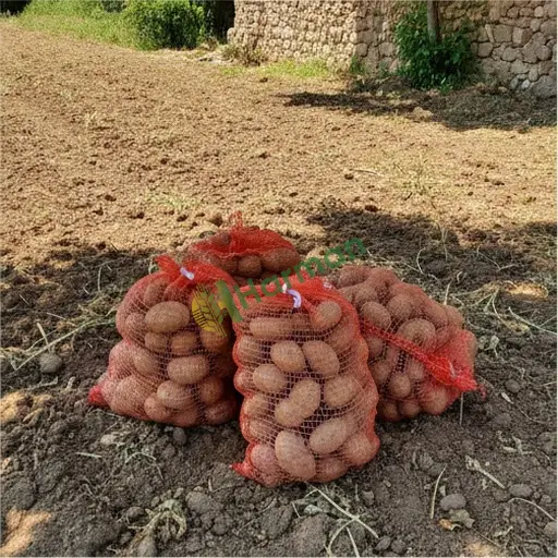 Şırnak Cizre'de patates satarım