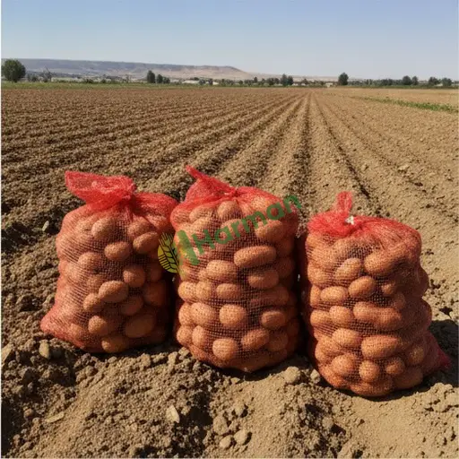 Kütahya Hisarcık'ta patates satılık
