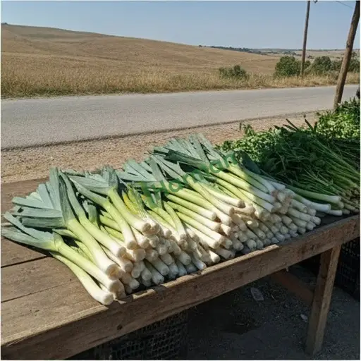 Adana Seyhan'da pırasa satılık