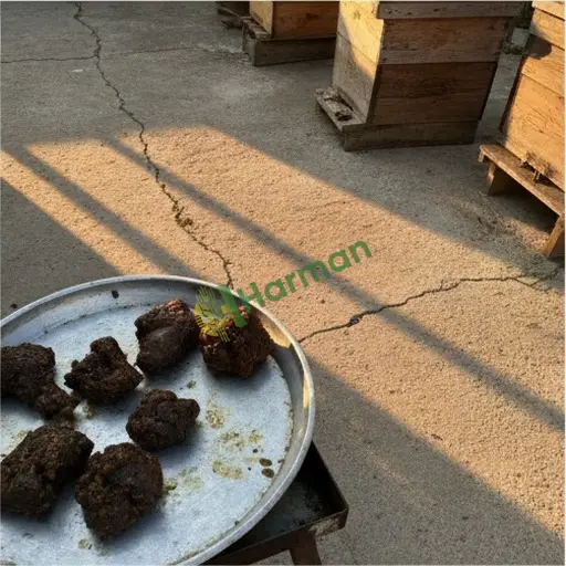 Kırklareli Pehlivanköy'de propolis satılık