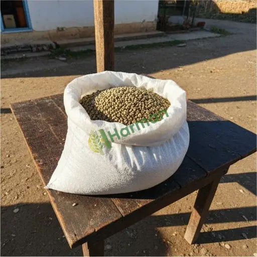 Gaziantep Nurdağı'nda Robusta kahve satıyorum